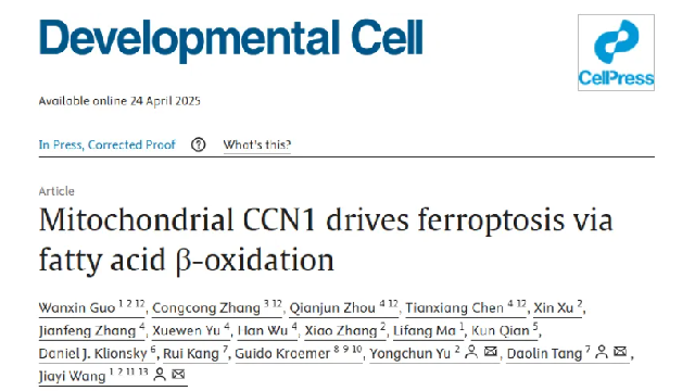 Developmental Cell | 億納譜團隊發現鐵死亡代謝調控新機制
